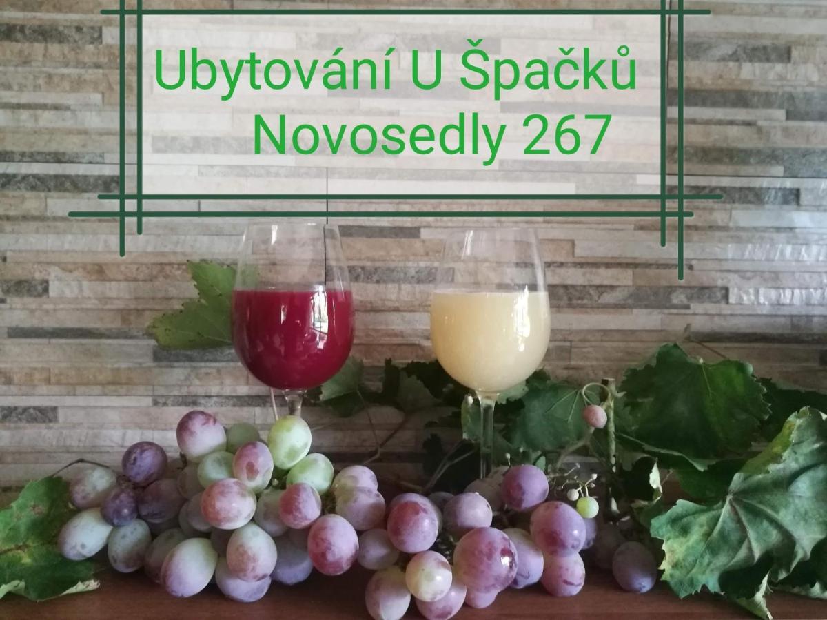 Ubytovani U Spacku Palava Novosedly  Ngoại thất bức ảnh