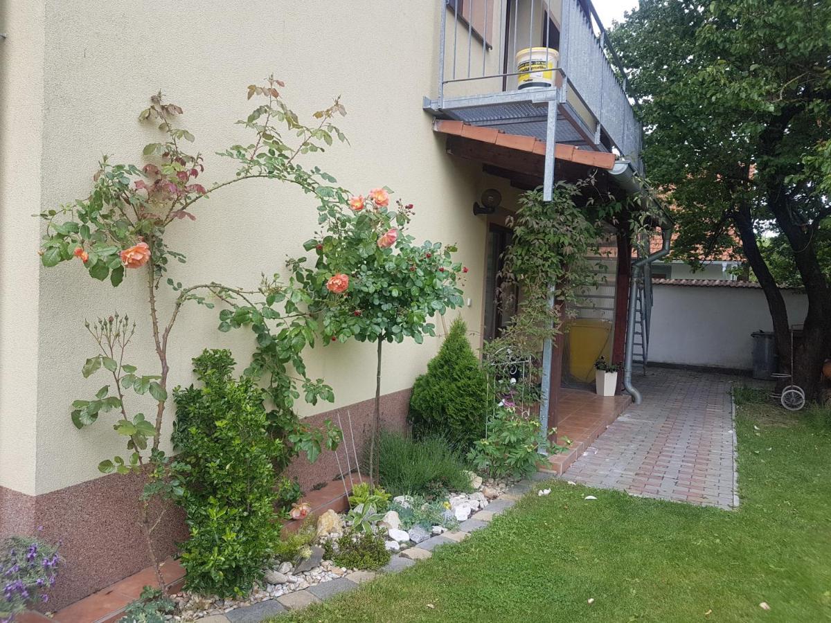 Ubytovani U Spacku Palava Novosedly  Ngoại thất bức ảnh